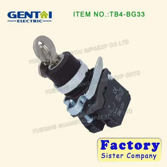 Metal Type Push Button Switch/Pushbutton with 6-380V